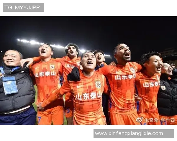 南京排球队与上海排球队赛后复盘分析灵活性表现与战术调整