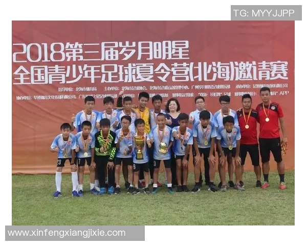 足球明星数量调查分析及其对青少年足球发展的影响研究